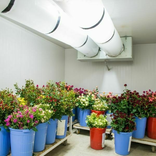 Image depicts a newly installed refrigerated flower storage unit.