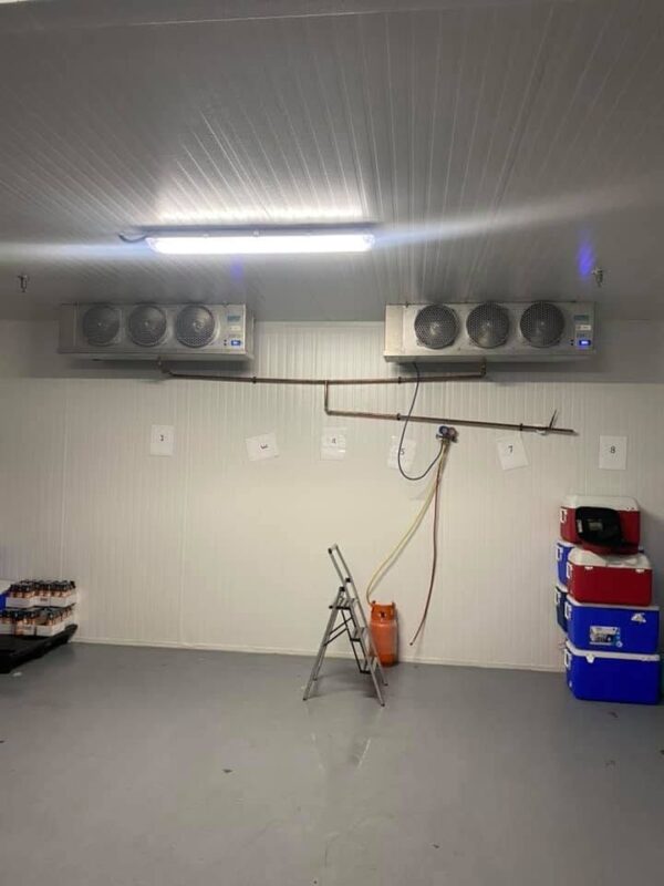 Two evaporators inside a walk-in cooler