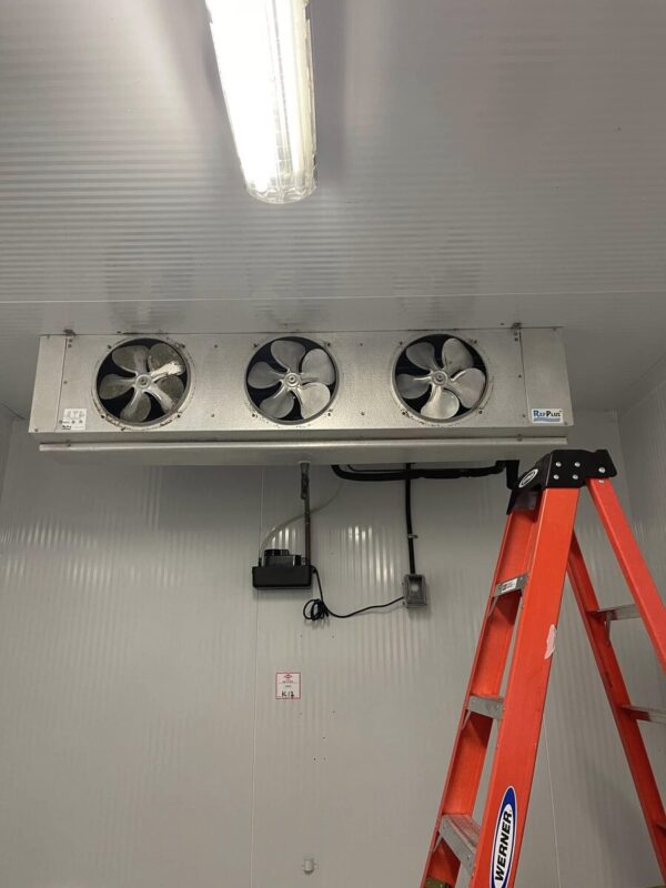 Multi-fan evaporator in a walk-in fridge photographed during a CooperFix service visit