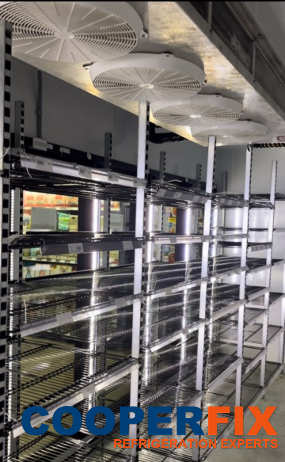 Multi-fan evaporator assembly above metal shelving in a cold room.