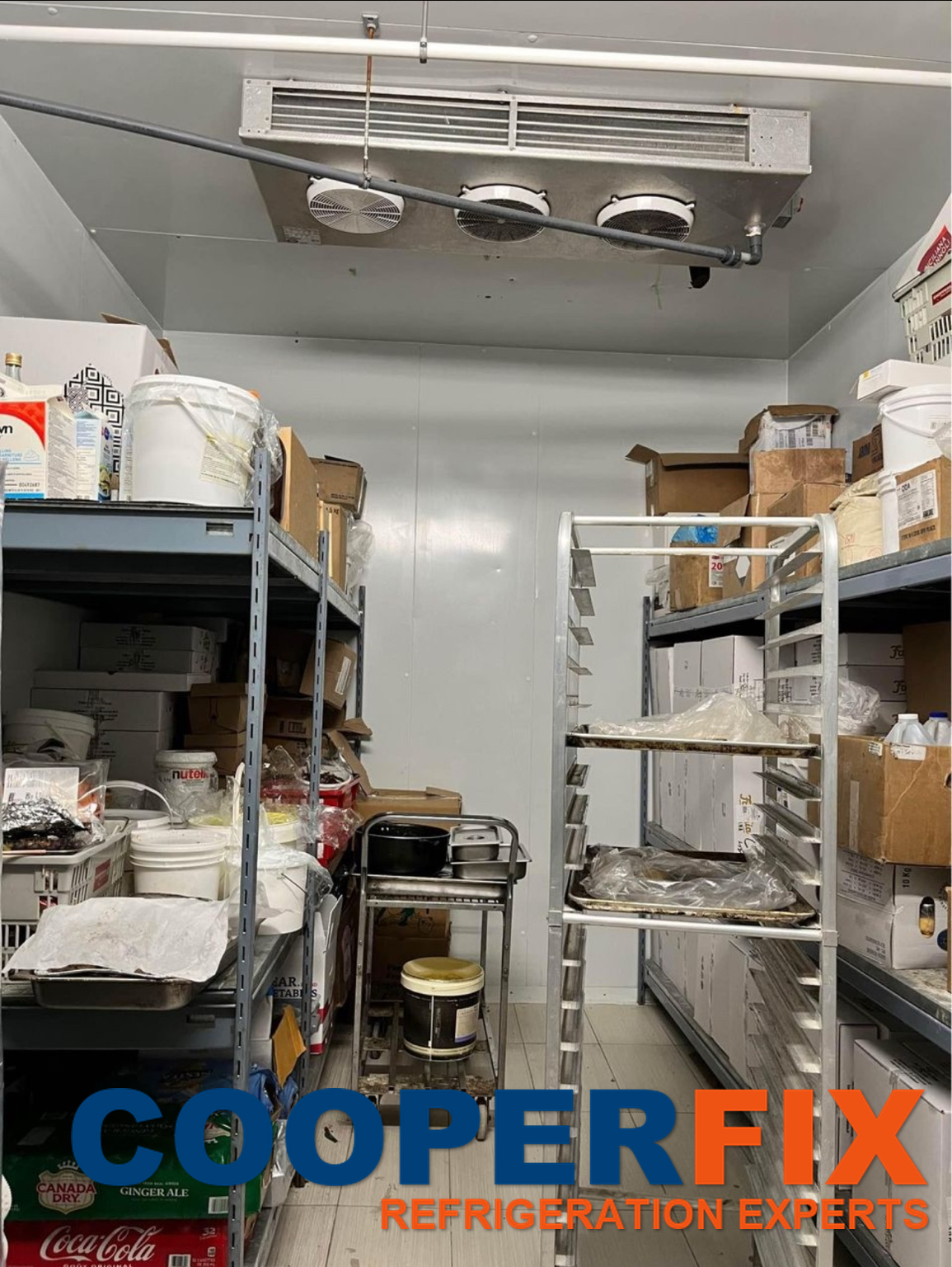 Ceiling-mounted three-fan evaporator above shelving in a cold room.
