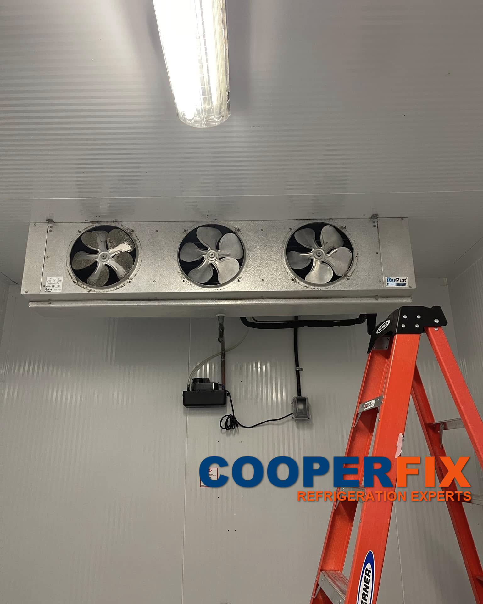 Three-fan cold-room evaporator with fan fronts exposed and a service ladder nearby.