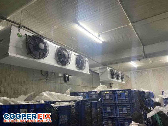 Commercial cold room with twin ceiling evaporators above storage bins.